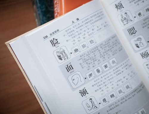 Was bedeutet die Konstitution in der Diagnostik der Chinesischen Medizin?