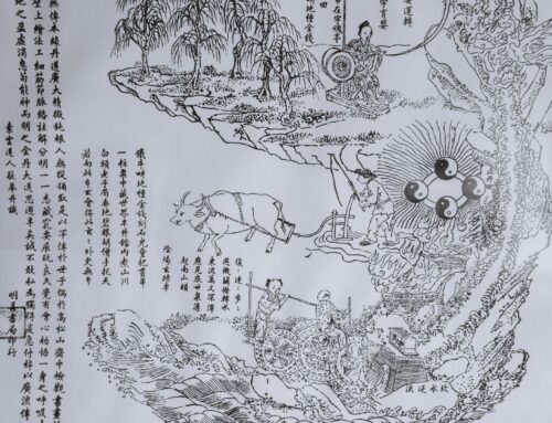 Akupunktur nach Klassischer Chinesischer Medizin: Ein Plädoyer für tieferes Verständnis
