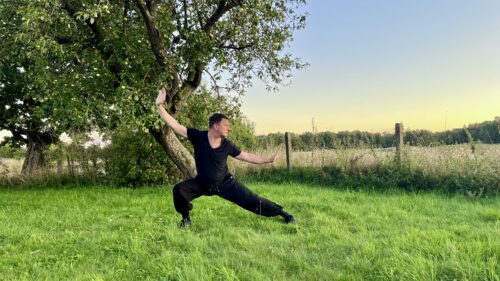Andreas Kühne führt eine Qigong-Übung aus. Vor einem Baum, auf einer Wiese.